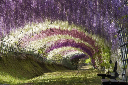 Японский парк цветов