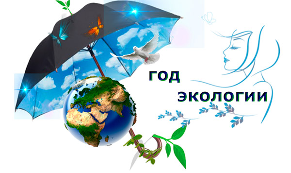 Что планируется выполнить в рамках года экологии в России