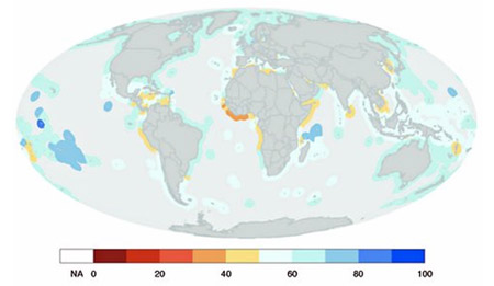Учеными разработан индекс здоровья мирового океана