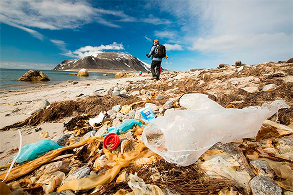 Воды Арктики аккумулируют миллиарды частиц отходов пластика