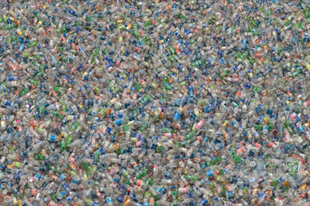 Сан-Франциско начал борьбу с пластиковыми бутылками