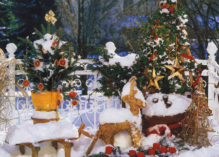 Кадочные елки в деле охраны природы