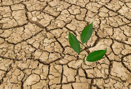 Изменение климата в России