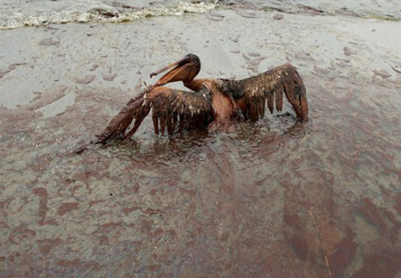 Новые эффективные способы борьбы с нефтяными загрязнениями