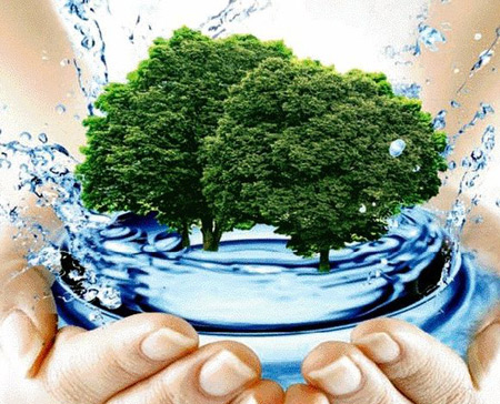 Принципы природопользования