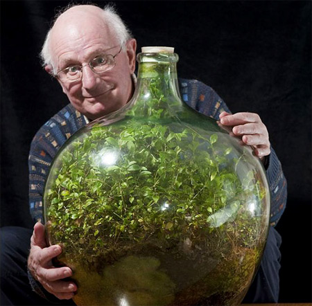 50-летний сад, закупоренный в бутылке
