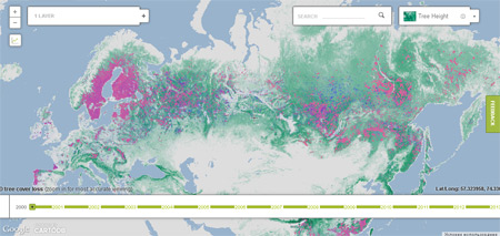 Карта лесов мира от Google