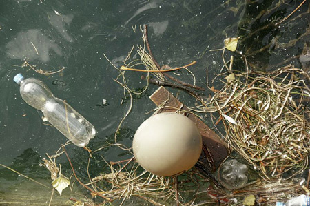 Загрязнение водных объектов